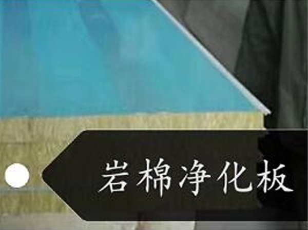 襄陽巖棉凈化板